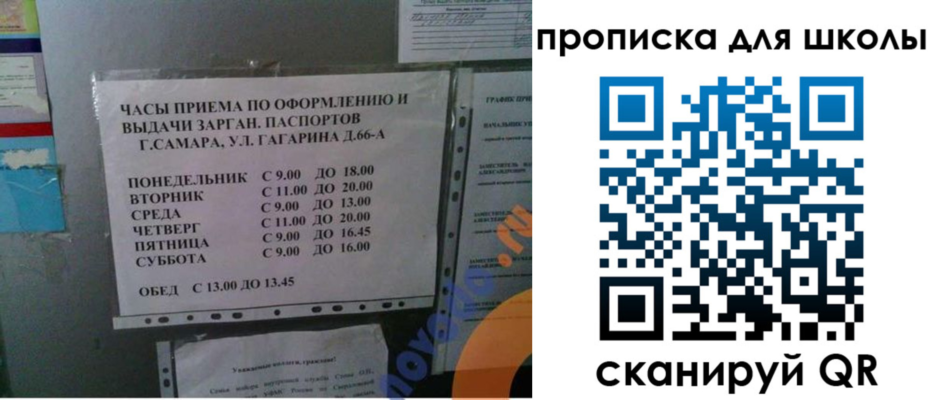 где прописаться в Долгопрудном